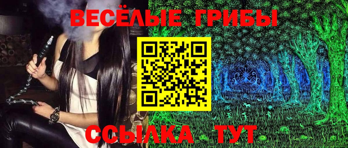 Новодвинск  Галлюциногенные грибы GOLDEN TEACHER  Псилоцибиновые грибы ЛСД  Вход с VPN 