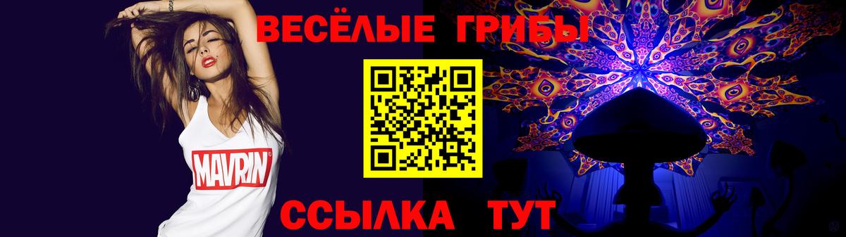 Галлюциногенные грибы Psilocybe Новодвинск